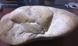 和田玉石包玉的魅力与风险揭秘